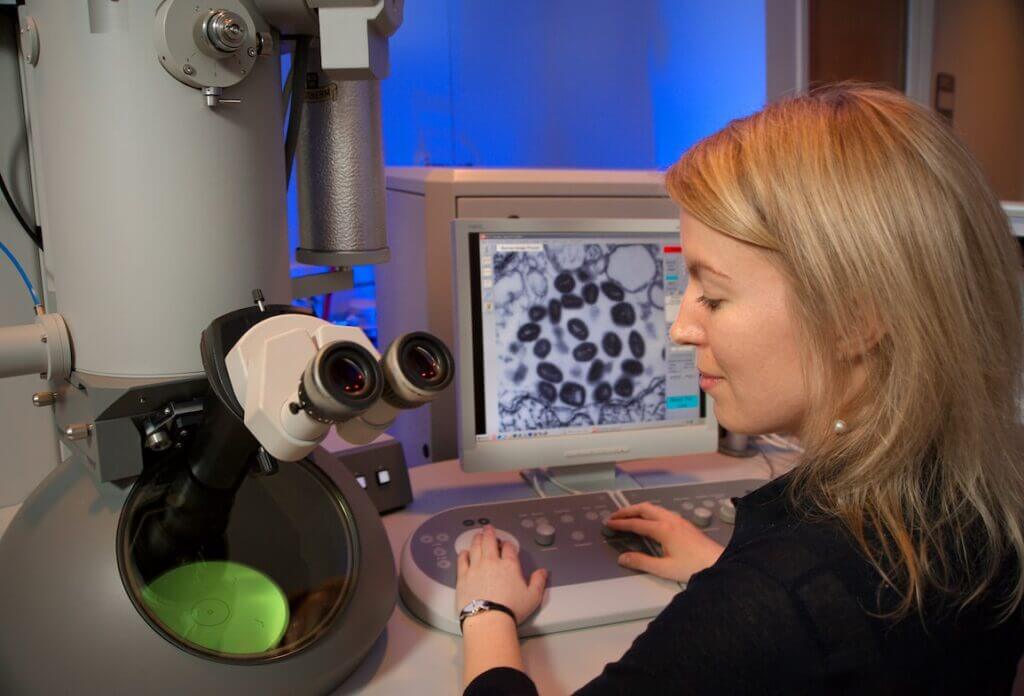 An image representing Innovation in Longevity for the article titled: The Future of Anti-Aging Technology