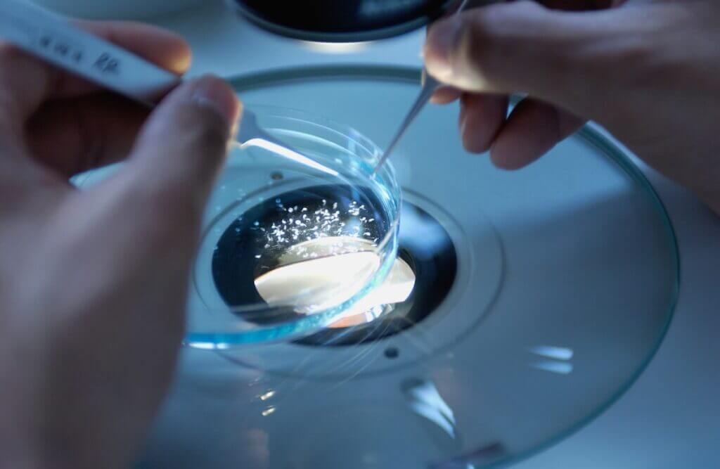 An image representing Biotechnology in Longevity for the article titled: How Many Biotech Companies Are There?
